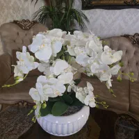 گلدون گل ارکیده