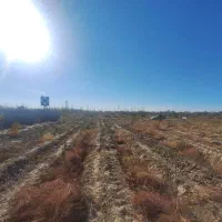 زمین شترخوار