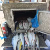 اهواز
