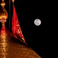 همسفر کربلا
