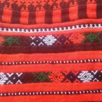زیح زیاستین
