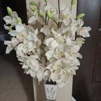 گل ارکیده سفید ۵ شاخه با گلدان