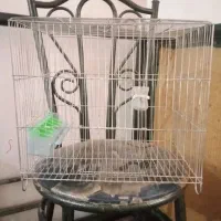 قفس پرنده