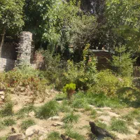 اجاره سوییت ۴۰متری به شرط کار در فشم لالان