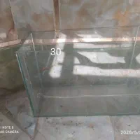 اکواریوم
