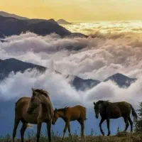 تور فیلبند و بابلسر