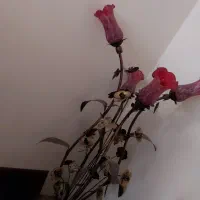 لوازم برقی خانگی