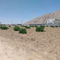 فروش-باغ-730متری-کوی-جاویدان