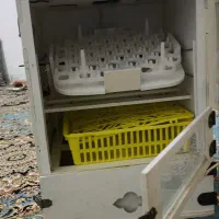 دستگاه جوجه کشی 42تایی