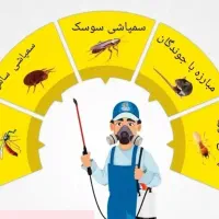 سمپاشی ساس وتمامی حشرات با۲سال ضمانت و فاکتورشرکت