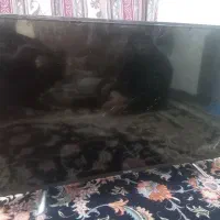 تلویزیون  صفحه شکسته