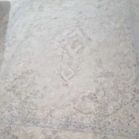 قالی