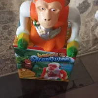 میمون