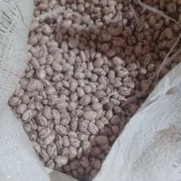 لوبیا  چیتی برزیی  دست چین درجه یک یک