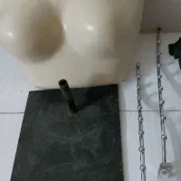 رگال ساچمه ای