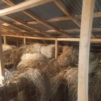 لی برای حصیربافی