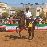 نریان ۴ سال کرد