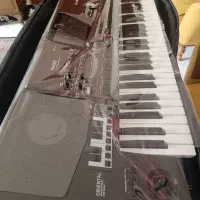 ارگ پیا۷۰۰اورینتال درحد بدون ی خطی