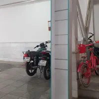 قفسه و رگال