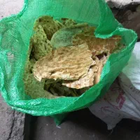 نان خشک فروشی