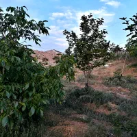 فروش فوری و زیر قیمت زمین باغی مسکونی آبیک بالا