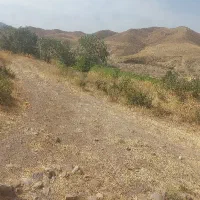 خیاروتل