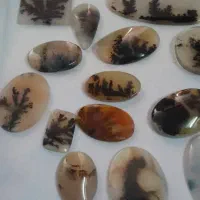 شجر طبیعی کلکسیونی بارخونه جور