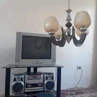 تلویزیون