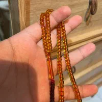 سندلوس نباتی