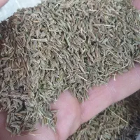 زیره|خوردنی و آشامیدنی|تربت‌حیدریه, کوی شهید احمدزاده ملکی|دیوار