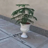 پلوپز سه شعله فرش آشپزخانه گلدان
