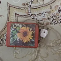 پمپ آکواریوم دو خروجی