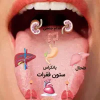 دمنوش های گیاهی تخفیف ۱۰ درصدی
