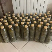 انواع ترشیجات و خیارشور خانگی فروش عمده