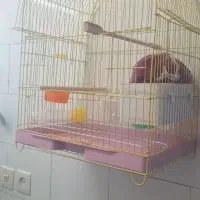 قفس پرنده