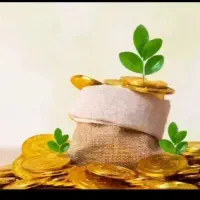ضامنن