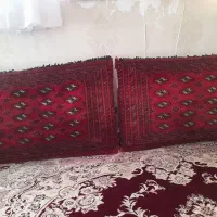 ۲ جفت پشتی