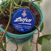 روغن لحیم