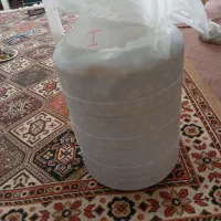 ترشی سپستان