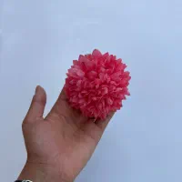 سر گل داوودی