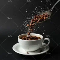 نیازمند باریستا خانم /آقا و کاگرساده
