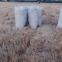 کاه میگیریم
