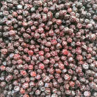 آلبالو خشک ارگانیک درجه یک