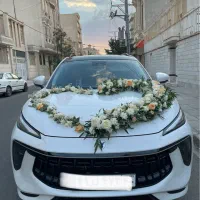 اجاره ماشین عروس. ماشین عروس
