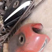 باک هوندا