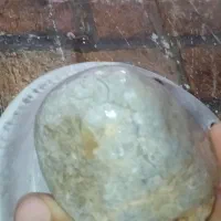 سنگ انگشتر وسنگ فسیل گل 5هزارساله