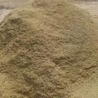 کاه عدس