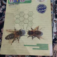 تیزهوشان نهم خیلی سبز
