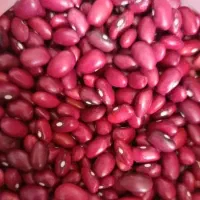 بوجاری شده تمیز حدود یک و نیم تن