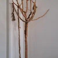 درختچه طبیعی برای پرنده